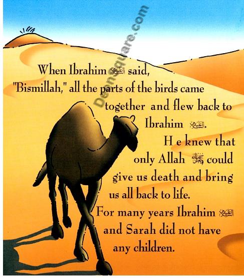 The Story of Ibrahim (A.S)