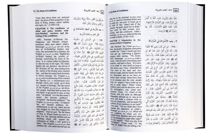 Summarized Sahih Al-Bukhari (Standard Size)