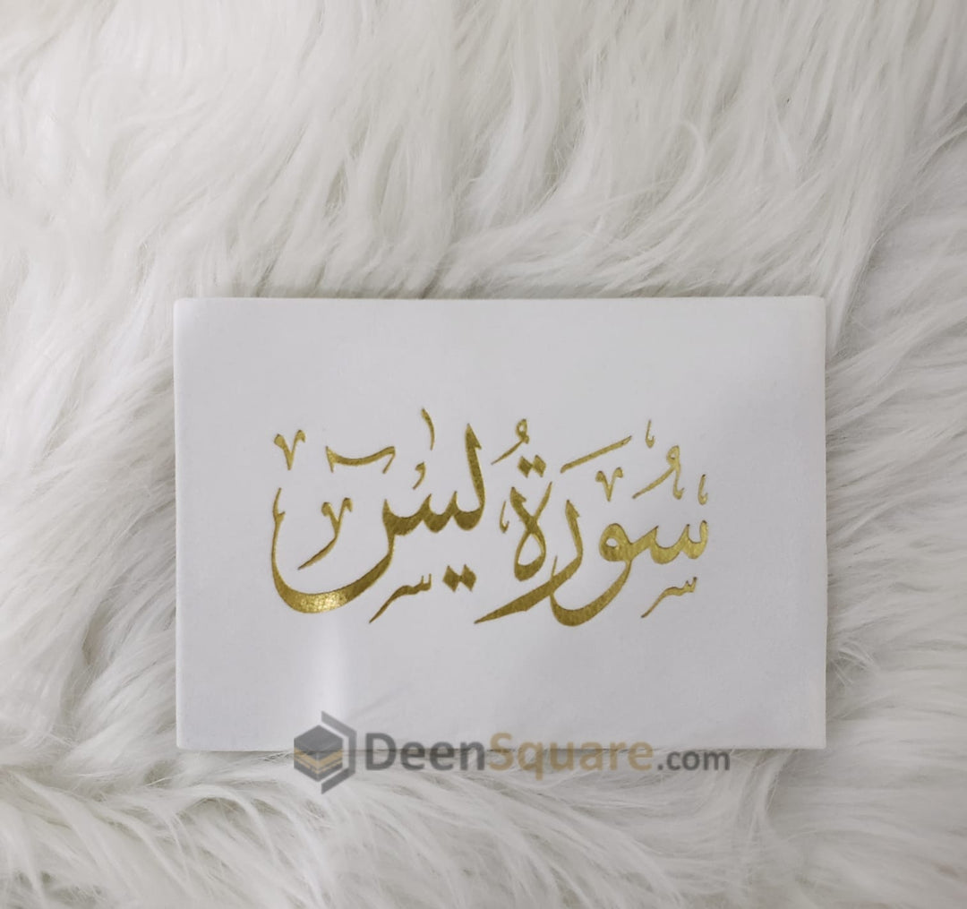 سورة يس 8×12 غلاف مخمل ملون- Surah Yaseen Velvet Cover with Colored Pages - 8 x 12 cm (Gift Edition)