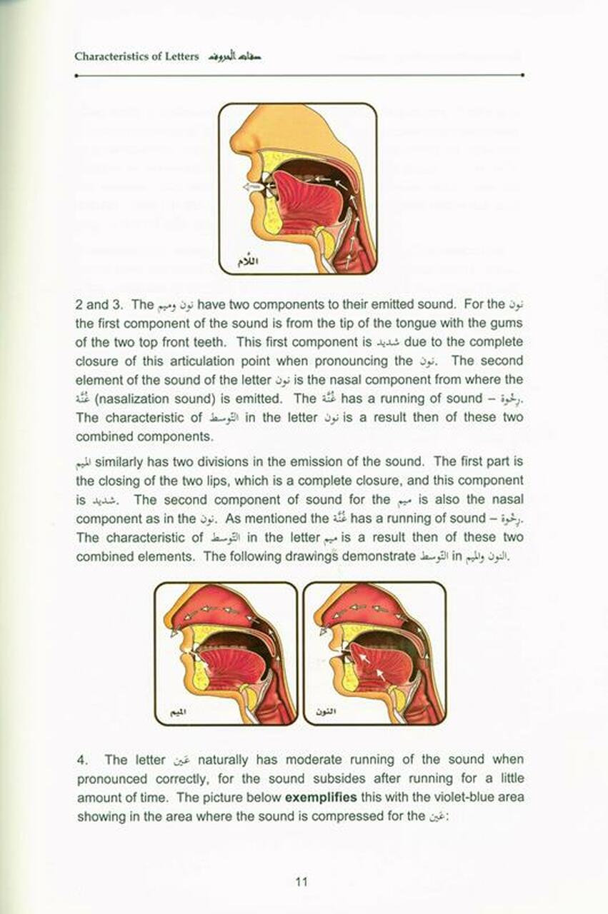Tajweed Rules of the Quran : 3 Volume
