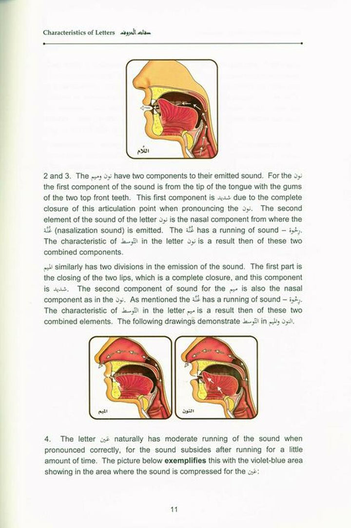 Tajweed Rules of the Quran : 3 Volume