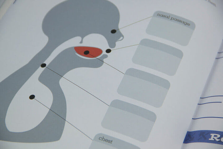 Tajweed Untangled - Learning Roots