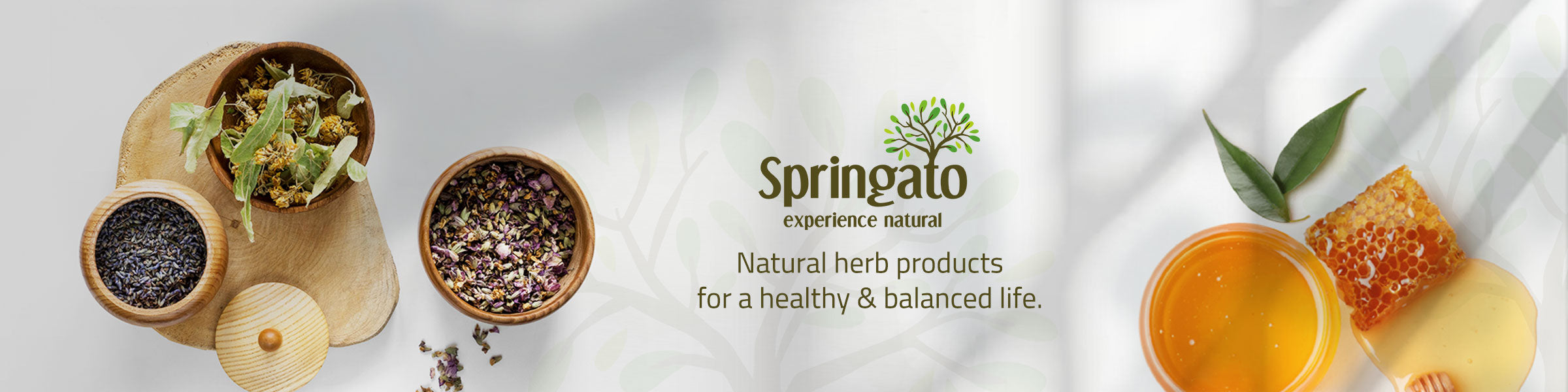 Springato