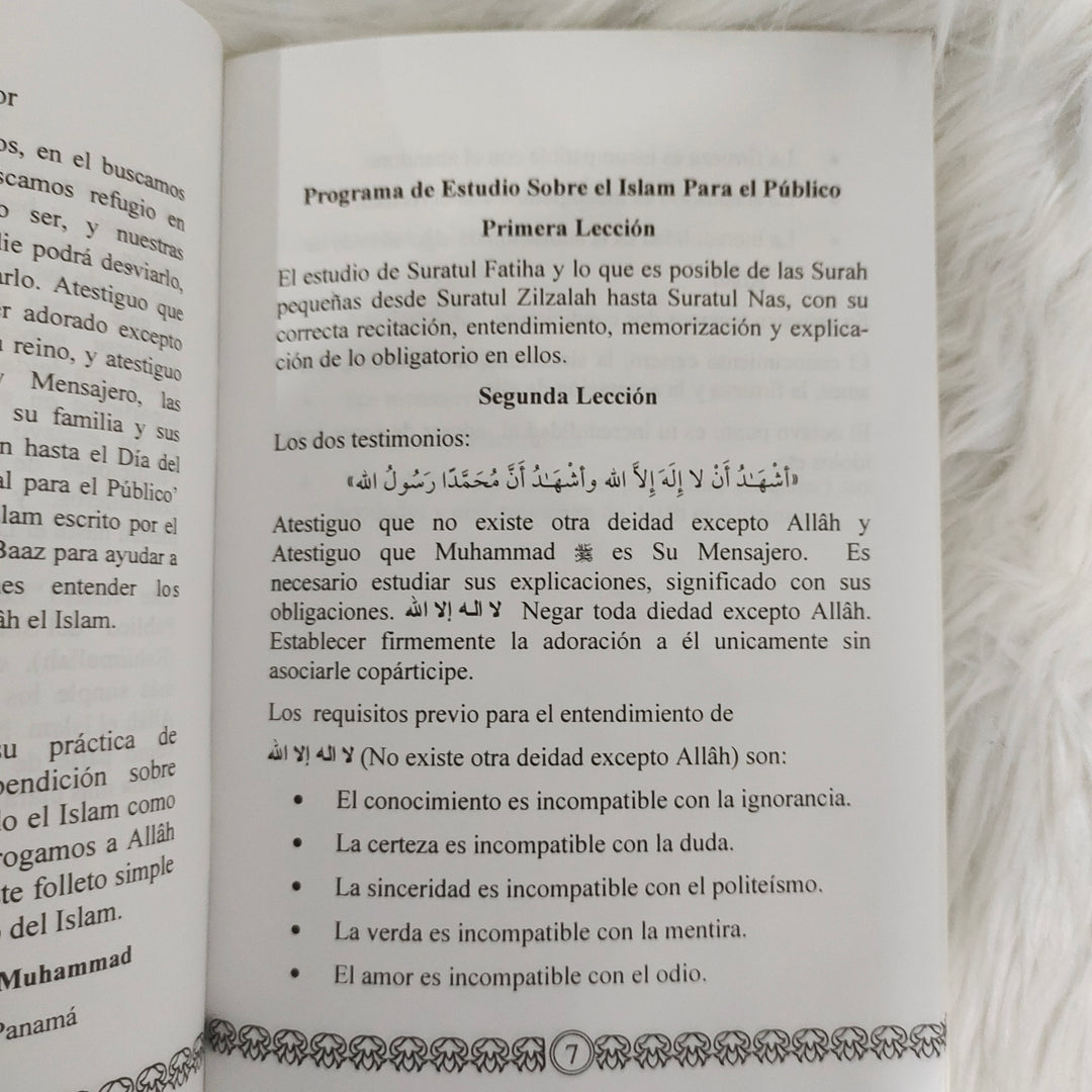 Spanish: Explanation of Important Lessons for Every Muslim