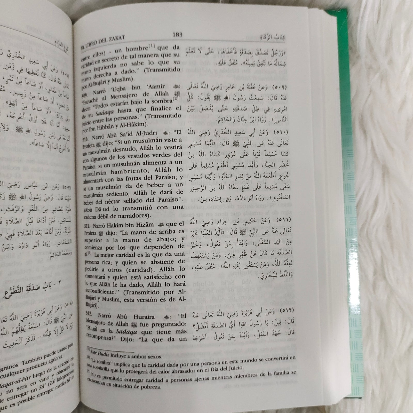 Spanish : Bulugh Al Maram