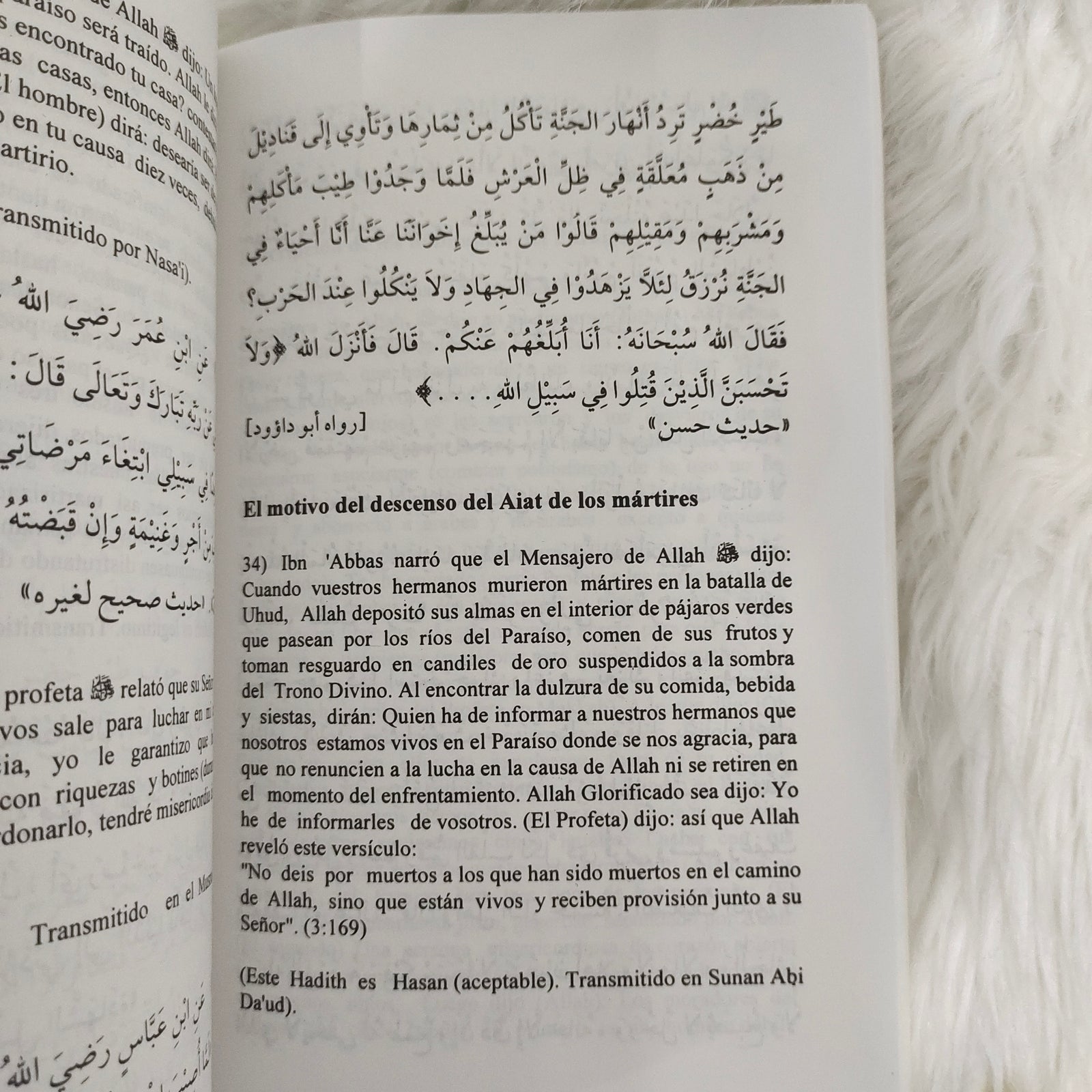 Spanish: 110 Hadith Qudsi
