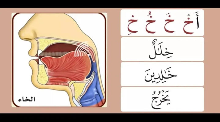The Illustrated Tajweed - Russian (Книга Иллюстрированный таджвид, Доктор Айман Рушдий Сувайд. Правила чтения Корана. Харф.Чтение Корана)