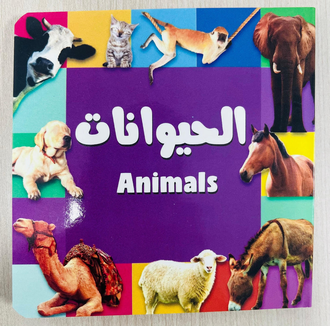 My First Bilingual Arabic-English Montessori Board Book – Single Piece