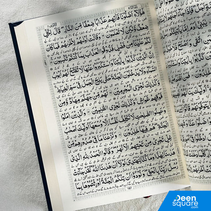 The Noble Quran with Urdu Translation | ترجمة و تفسير معاني القران الكريم باللغة الأردية