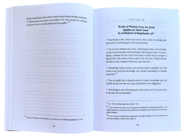 Adorning Knowledge With Action