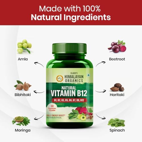 Himalayan Organics Plant Based Vitamin B12 Supplement | B1, B2, B3, B5, B6, B7, B9, B12|  - 120 Vegetarian Capsules