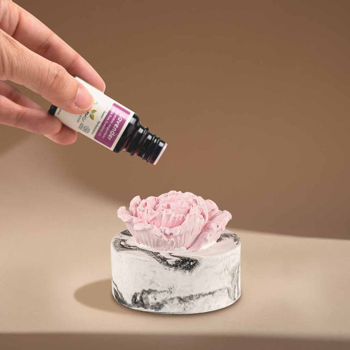 hand adding lavender essential oil to cera flora flower diffuser in a sunlit room