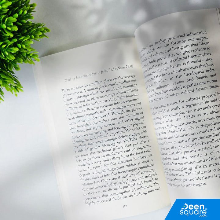 The Muslim Mother - Social And Political Commentary On Contemporary Muslim Motherhood
