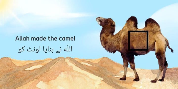 Allah made the animals (A bilingual Urdu and English touch and feel book) inside pages