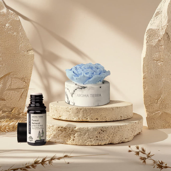 Aroma Tierra Forest Retreat Essential Oil Blend – Pine, Cypress &amp; Woody Aroma