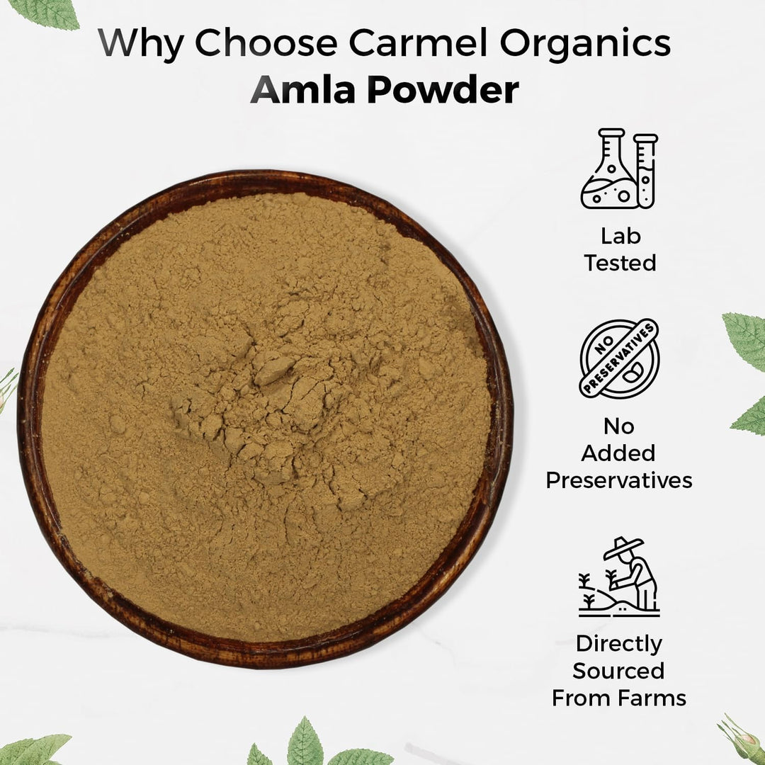 Carmel Organics Amla Powder 100G