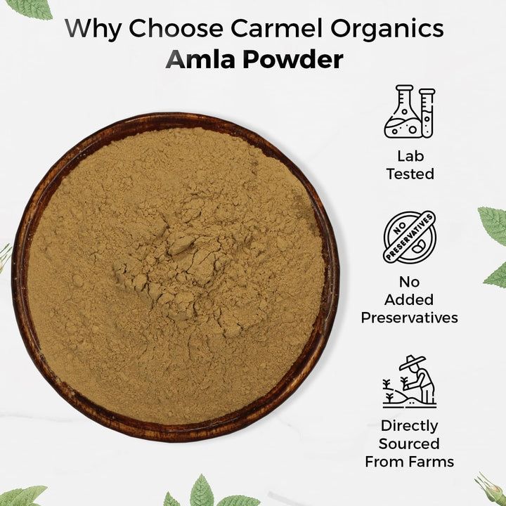 Carmel Organics Amla Powder 100G