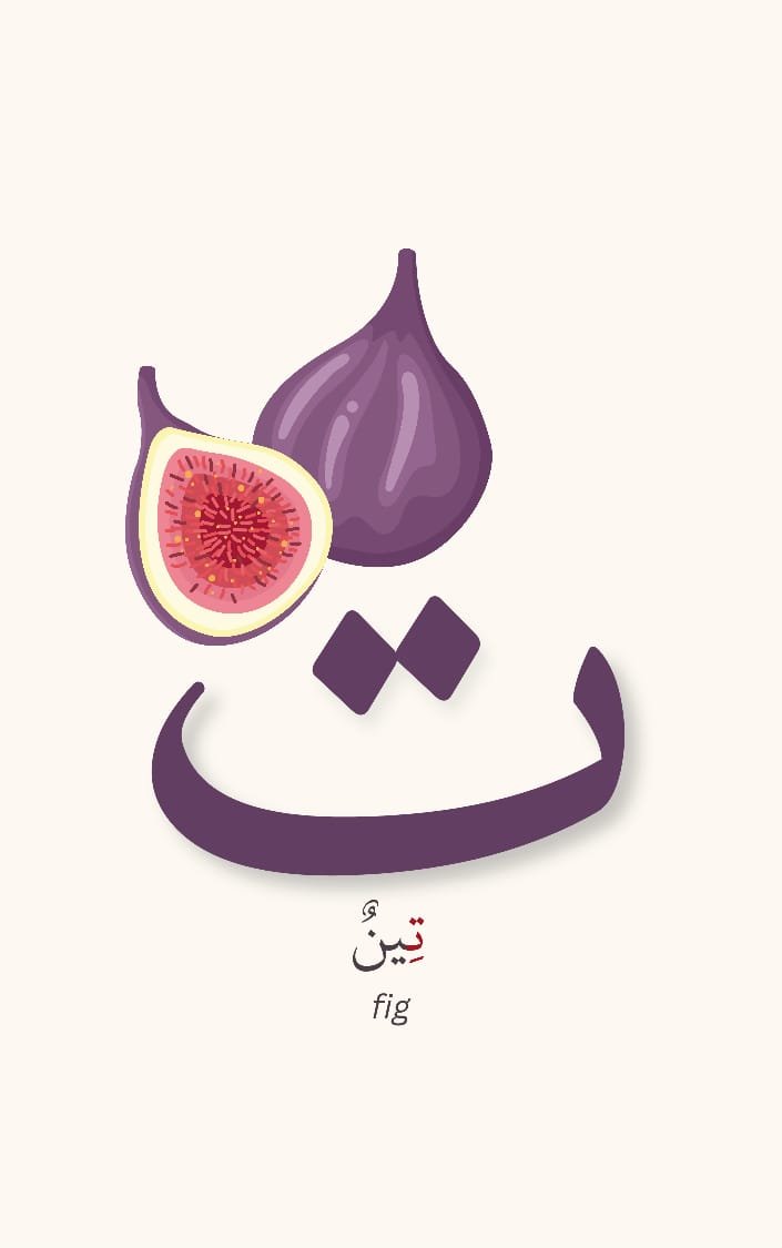 Arabic Alphabet Flashcards - Image 6