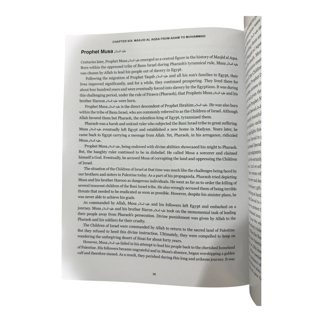 Masjid Al Aqsa: Under Fire & Trial – The Story of a Sacred Site in Crisis inside pages book dubai uae inside pages 4