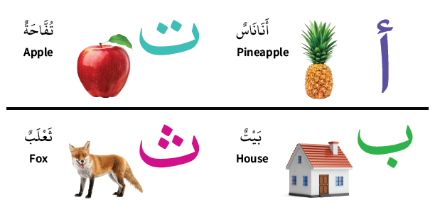 My First Bilingual Arabic-English Library – arabic alphabet