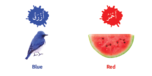 My First Bilingual Arabic-English Library – colors