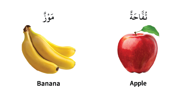 My First Bilingual Arabic-English Library – fruits