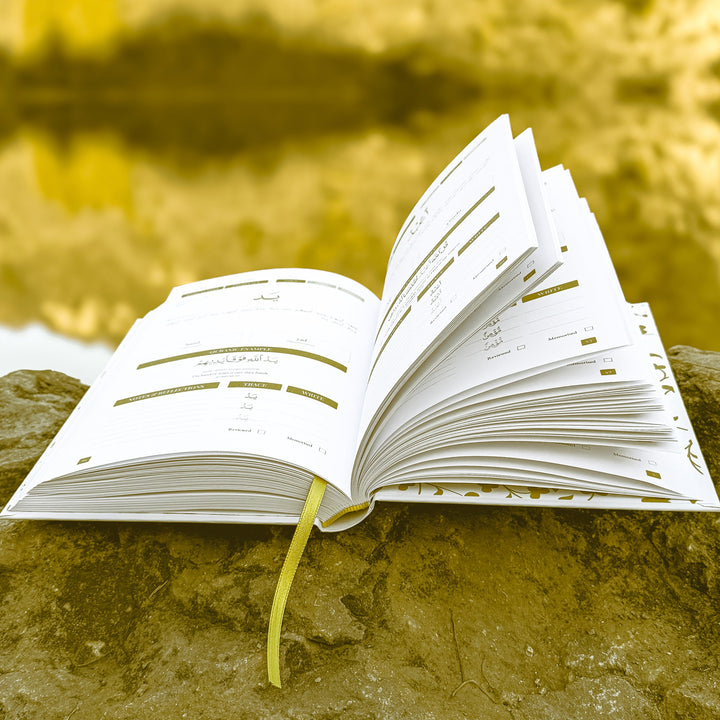 Quran Roots: Top 500 Quranic Words & Vocabulary Journal inside page 12