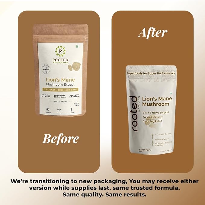 Support focus, memory &amp; brain wellness with Lion&