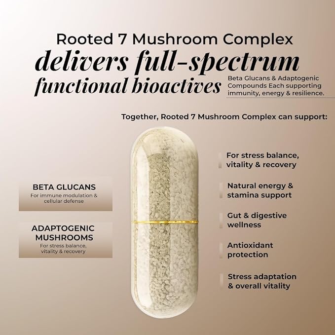 Support immunity, brain &amp; gut health with Rooted Actives 7-in-1 Mushroom Complex. Fast shipping in Dubai and delivery across UAE from DeenSquare.com.