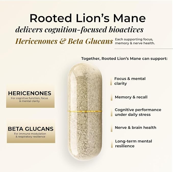 Support focus, memory &amp; brain health with Rooted Actives Lion&