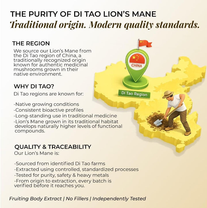 Support focus, memory &amp; brain health with Rooted Actives Lion&