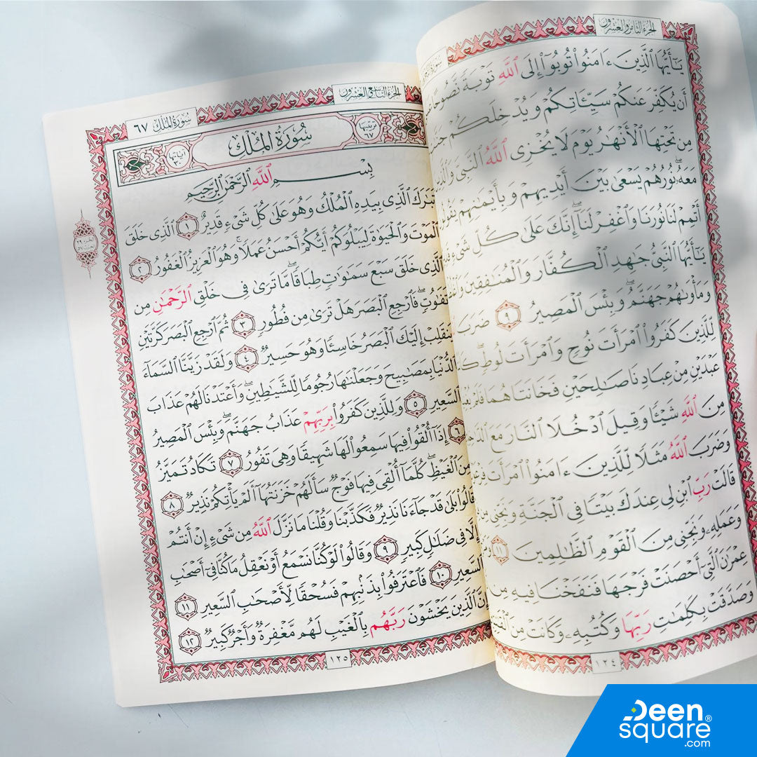 Rub' Yaseen for Beginners – Uthmani Script (17×24 cm)
—from Surah Yaseen (36) to Surah An-Naas (114).

A beautifully printed, beginner-friendly Quran section covering the final part of the Qur’an, starting from Surah Yaseen and continuing all the way to Surah An-Naas.

This edition is perfect for students, children, newcomers, and those who want to strengthen their recitation and memorization of the most commonly recited surahs.

Designed by Al-Safa, it features a large and clear Uthmani script, with two-co