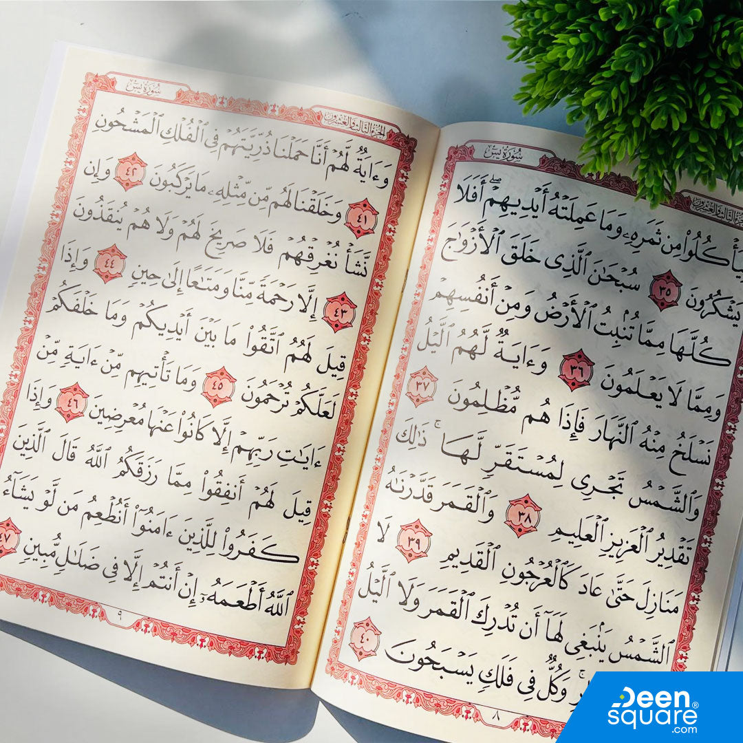 A beautifully printed, large-font edition of Surah Yaseen, designed for easy, comfortable reading. This edition is ideal for students, beginners, adults, and elderly readers who prefer bigger text for smooth recitation.

The Al-Safa edition features clear, spacious Uthmani script on a large 20×28 cm page, making it perfect for home reading, Quran classes, and study sessions.

Printed on high-quality paper, this Surah Yaseen edition provides excellent readability for daily recitation and Quran study.