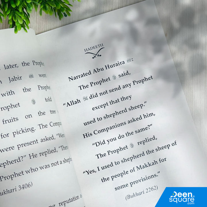 The Fourth Caliph - Ali (RA) | The Four Greatest Caliphs Series | Book 4