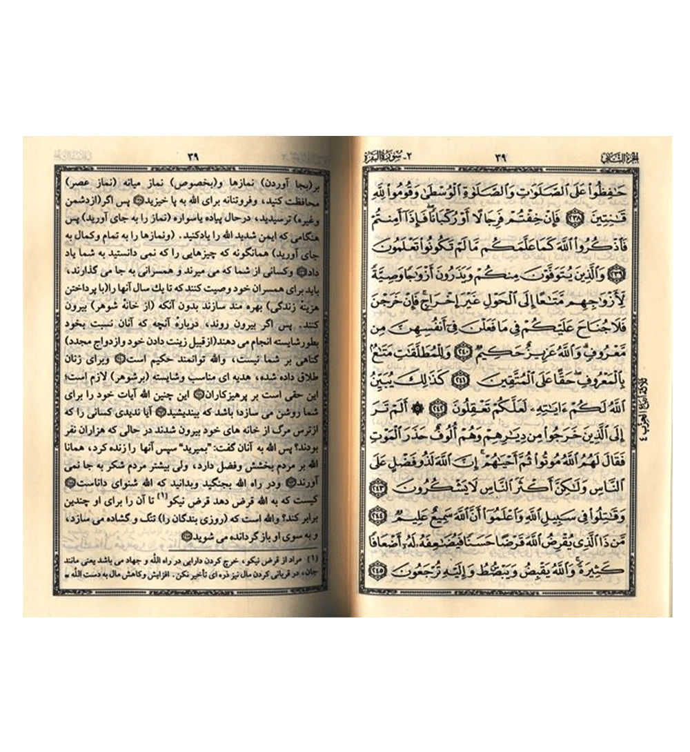 The Noble Quran in Persian (Farsi) Inside pages