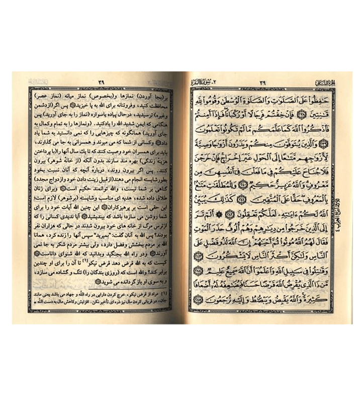 The Noble Quran in Persian (Farsi) Inside pages