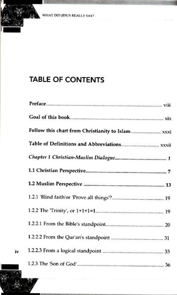 Buy What Did Jesus Really Say? by Misha&