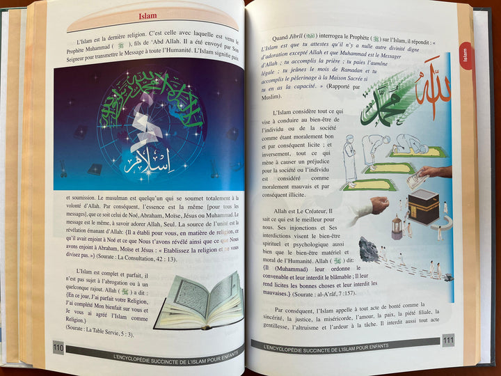 Une Encyclopédie succincte de l’islam - French