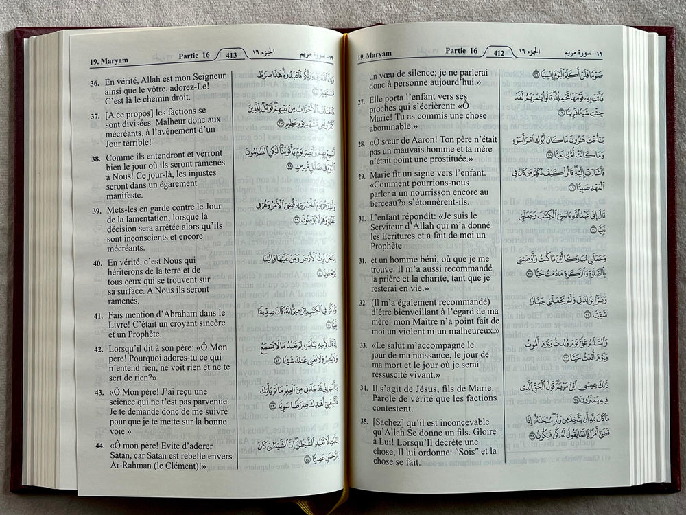 Noble Quran in French - Arabic Text With French Translation
