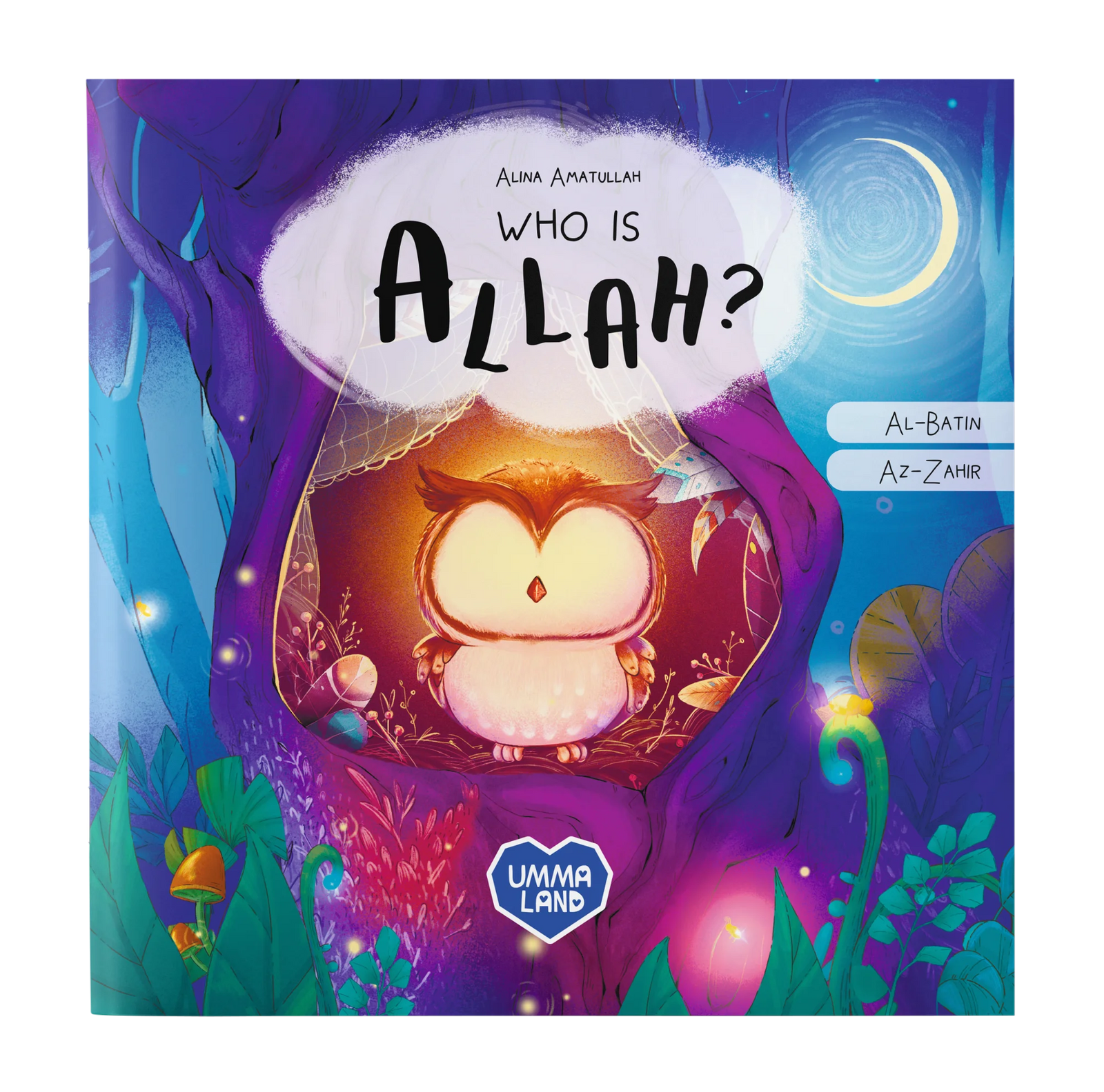 Who is Allah? The Little Owl book cover