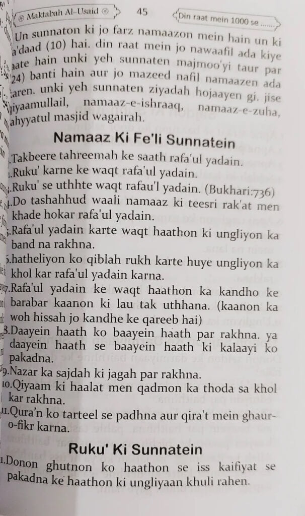 Din Raat Mein 1000 Se Ziyadah Sunnatein - Roman Urdu