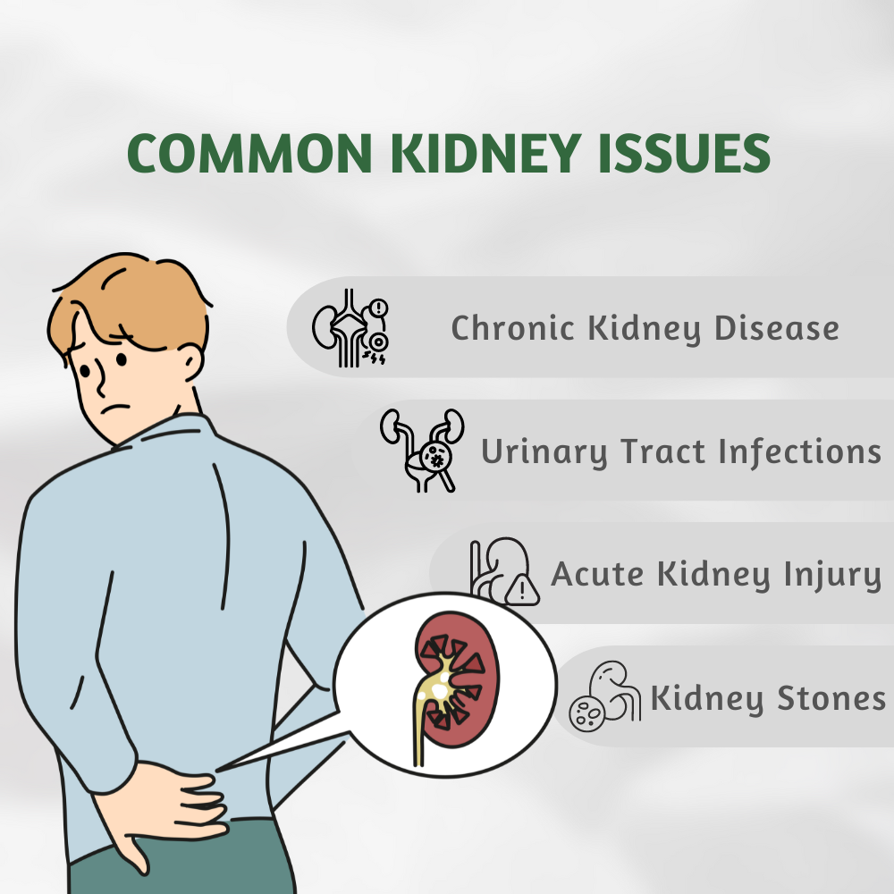 Pure Nutrition kidney detox capsules with punarnava gokhru turmeric rosehip for kidney support