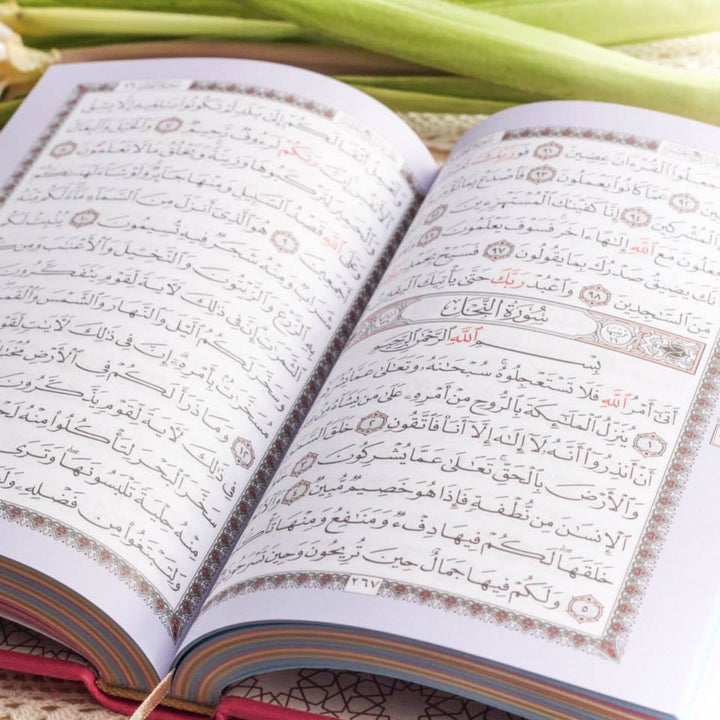 Rainbow Quran - Medium Size - 14 x 20 cm (مصحف ملون - حجم وسط - 14×20 سم)