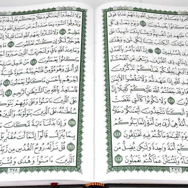 Quran Uthmani Script One Color 17 x 24 cm (مصحف 17 ×24 لون واحد زيتي - سلوفان)