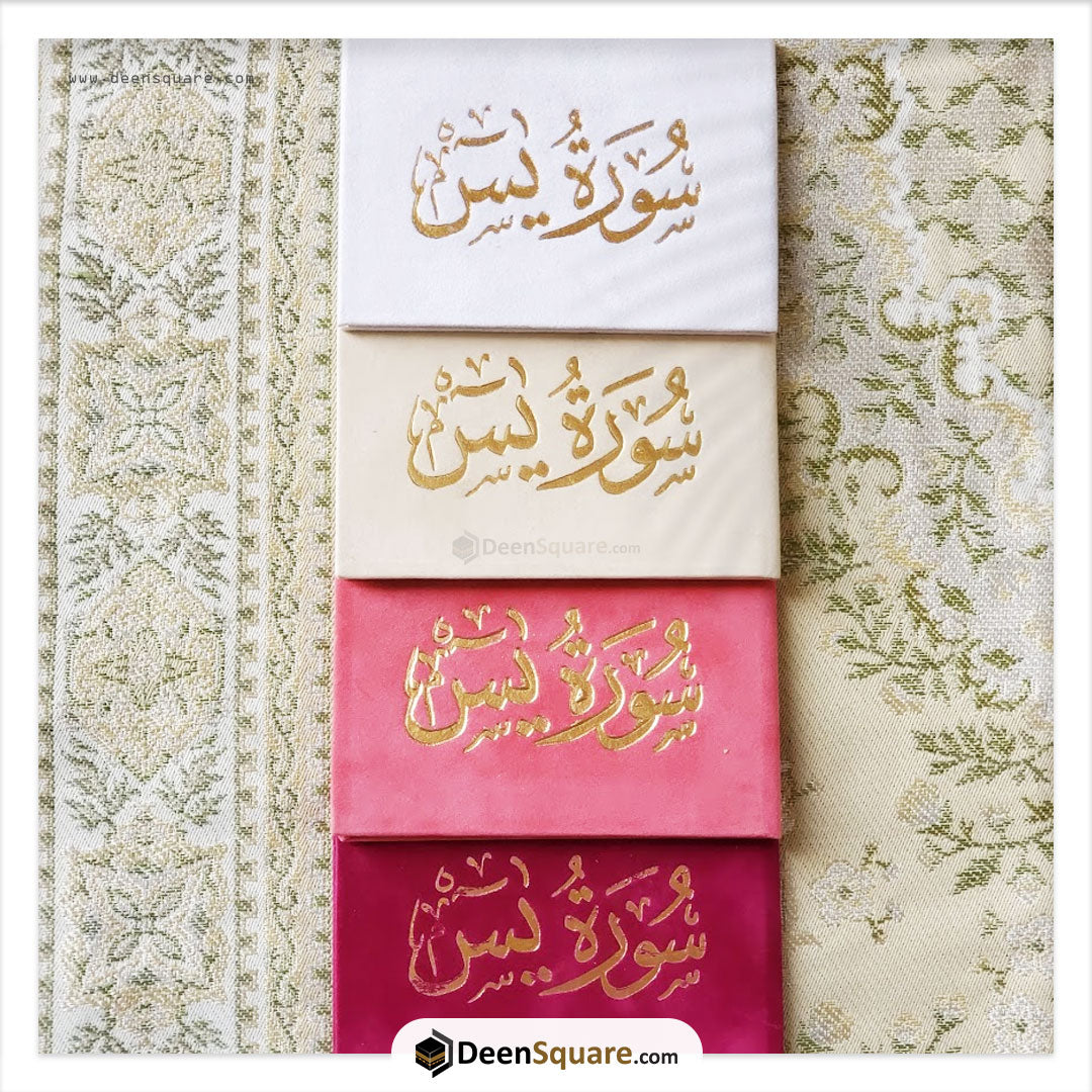 سورة يس 8×12 غلاف مخمل - Surah Yaseen Velvet Cover Gift Edition - 8 x 12 cm