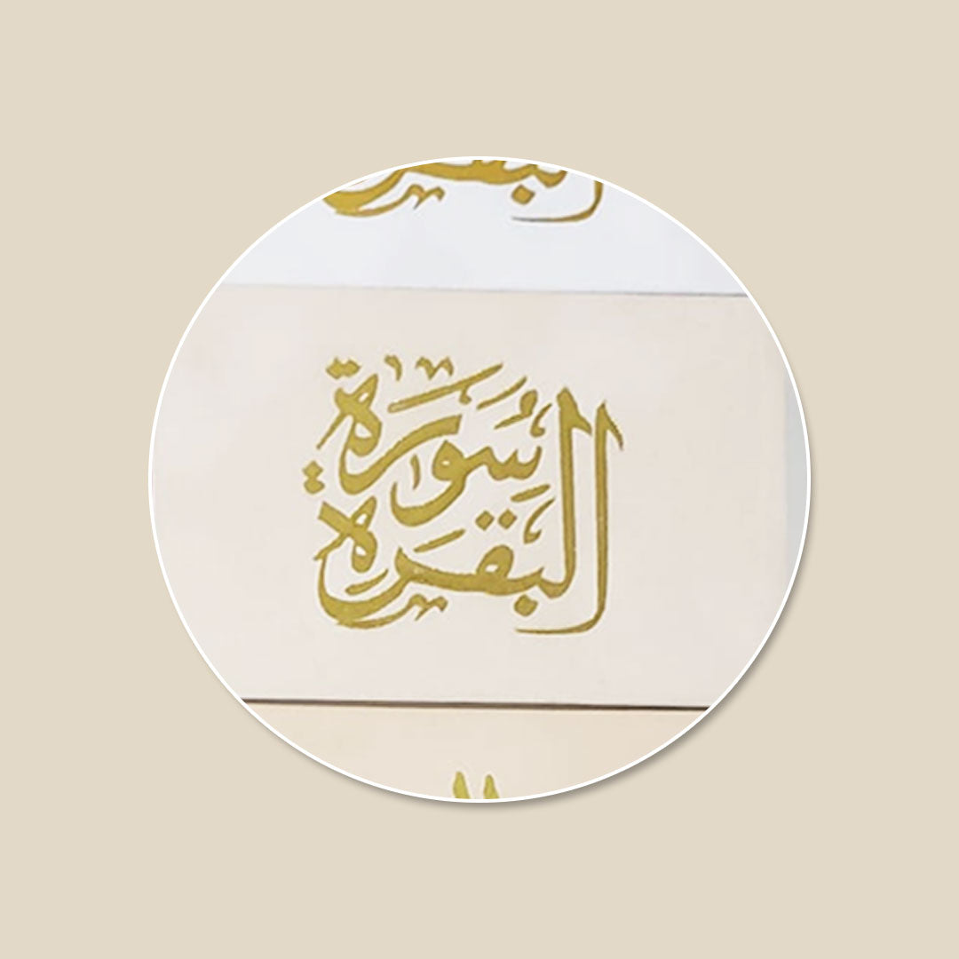 Surah Baqarah with Velvet Cover - Gift Edition - Small Size - 8 x 12 cm (سورة البقرة 8×12 غلاف مخمل)