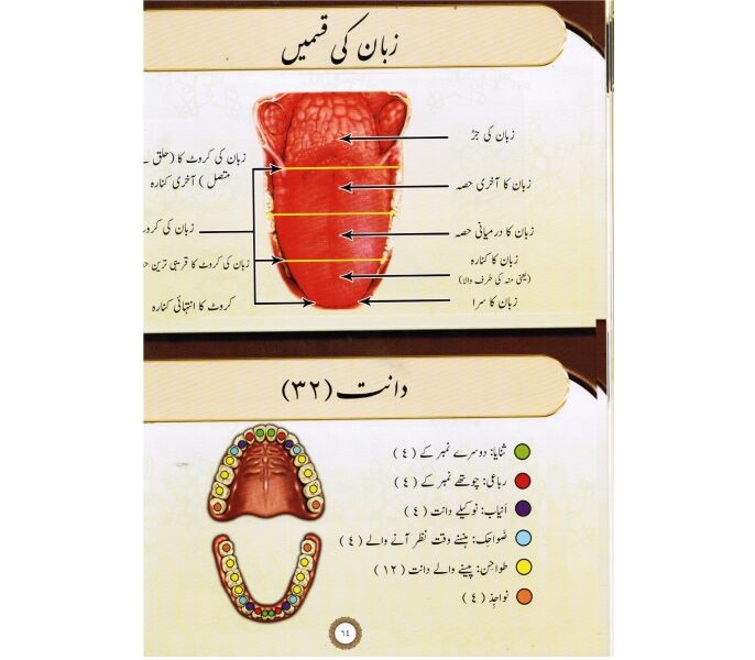 AL TAJWEED UL MUSAWIRU Hardcover (Urdu with Arabic) - التجويد المصور (Illustrated Tajweed)