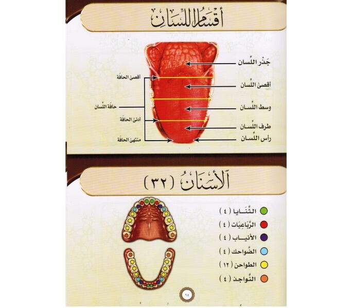 AL TAJWEED UL MUSAWIRU Hardcover (Urdu with Arabic) - التجويد المصور (Illustrated Tajweed)