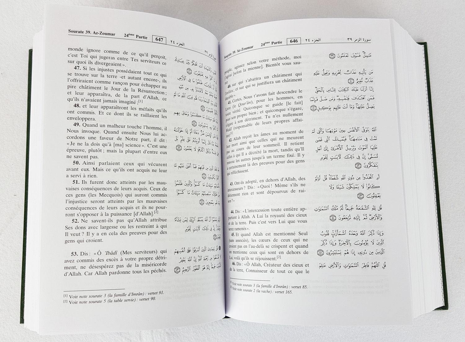 Noble Quran in French