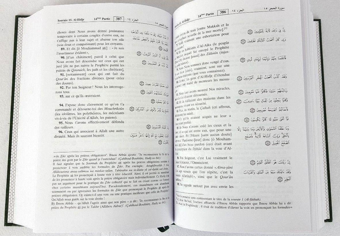 Noble Quran in French